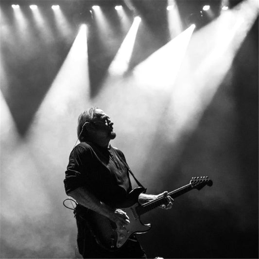 Stephen Stills - Morrison Hotel Gallery